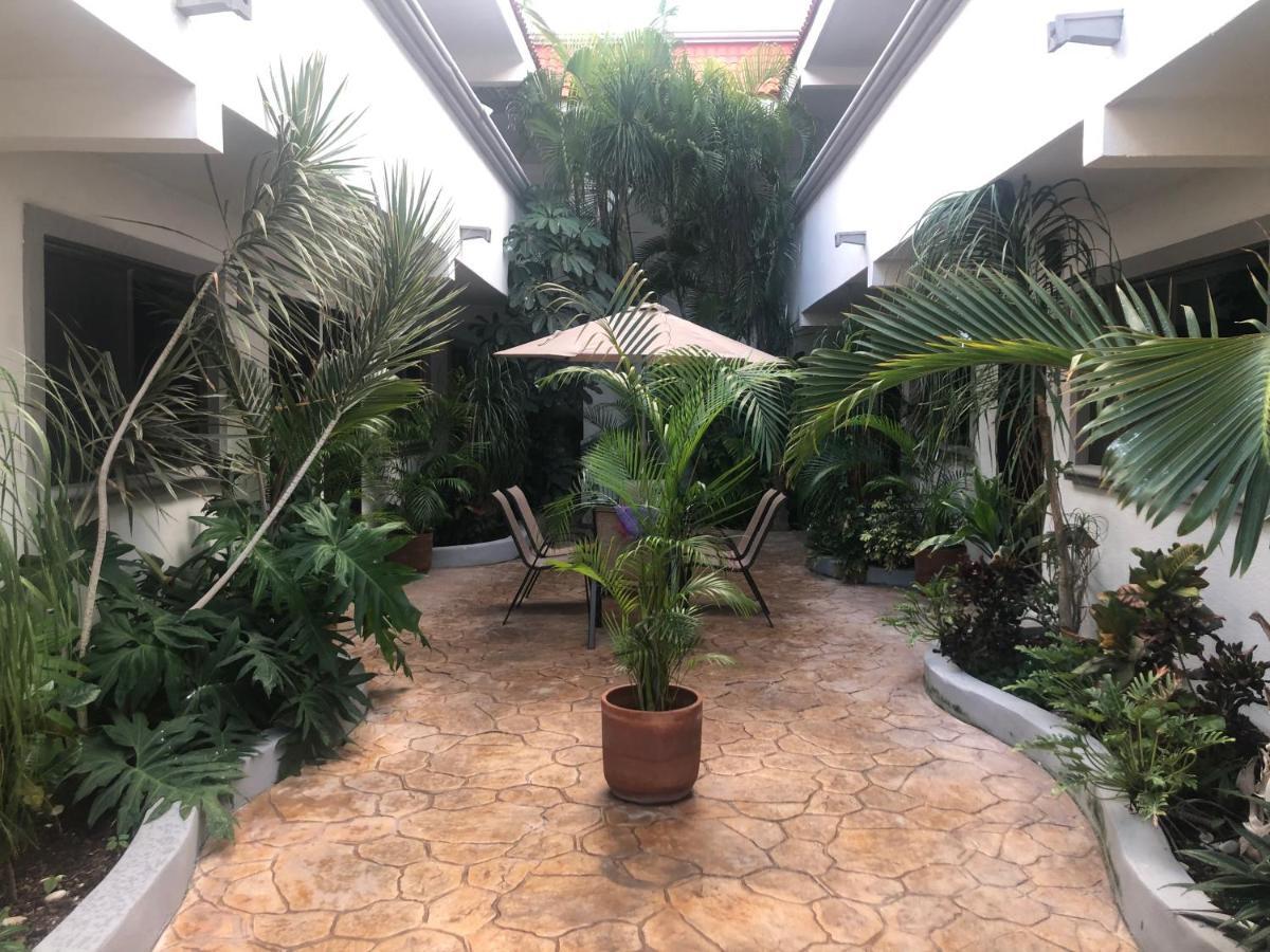Mayan Caribe Apart-Hotel Плайя-дель-Кармен Екстер'єр фото